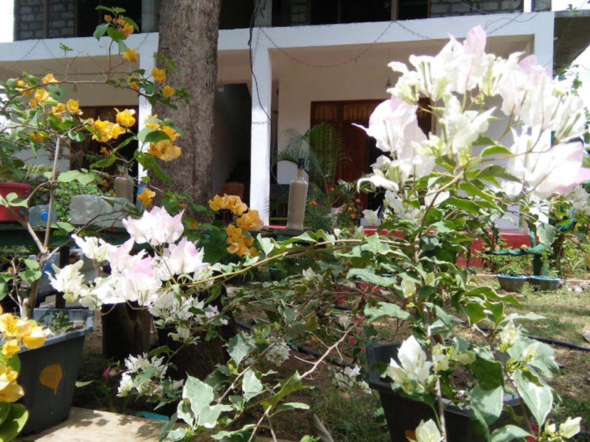N S K Green Villa Sigiriya Eksteriør bilde