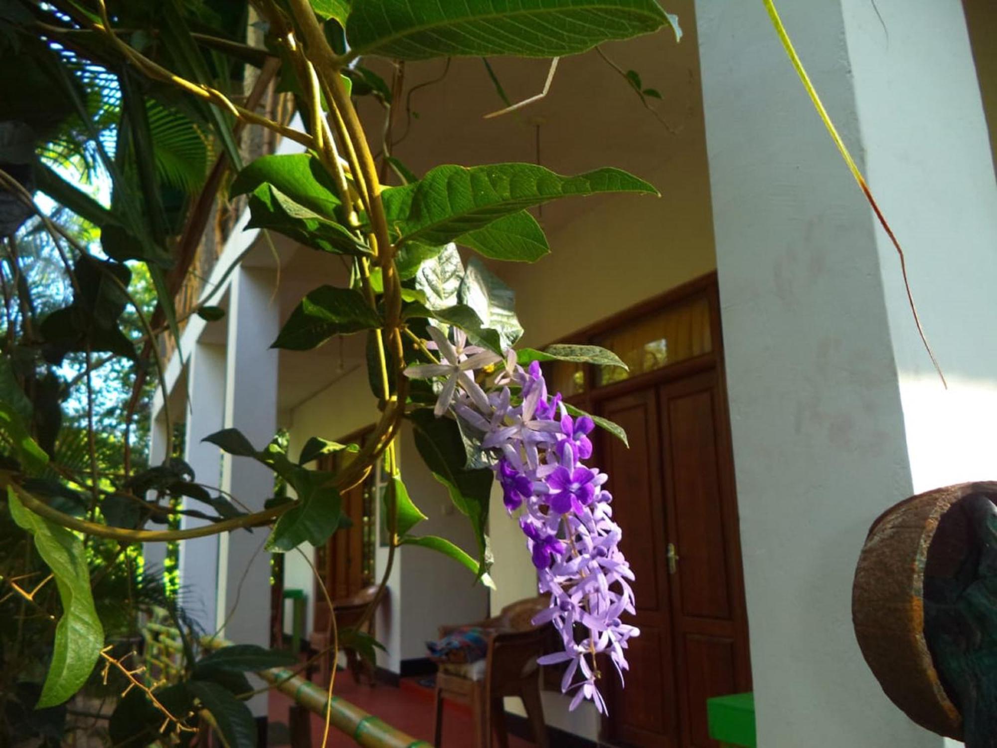N S K Green Villa Sigiriya Eksteriør bilde